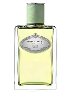Infusion d'Iris (2015)