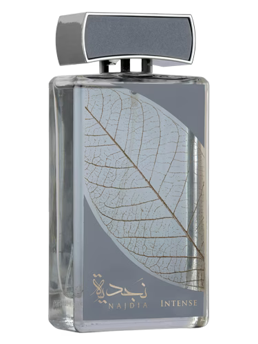 Najdia Intense for men