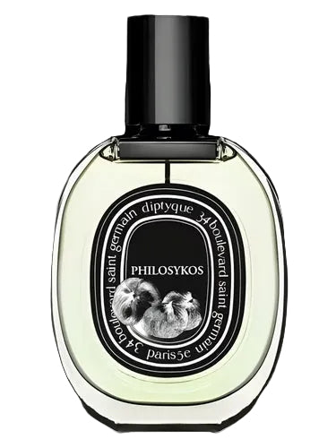 Philosykos