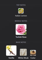 Roses Vanille