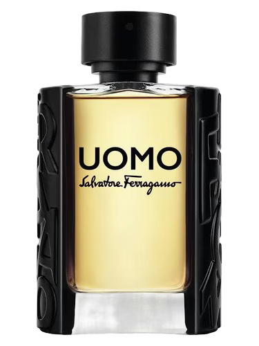 Uomo Salvatore Ferragamo