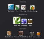 White Tea